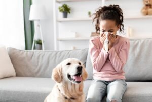 Animal Allergy. African American girl sneezing, suffering from nasal congestion