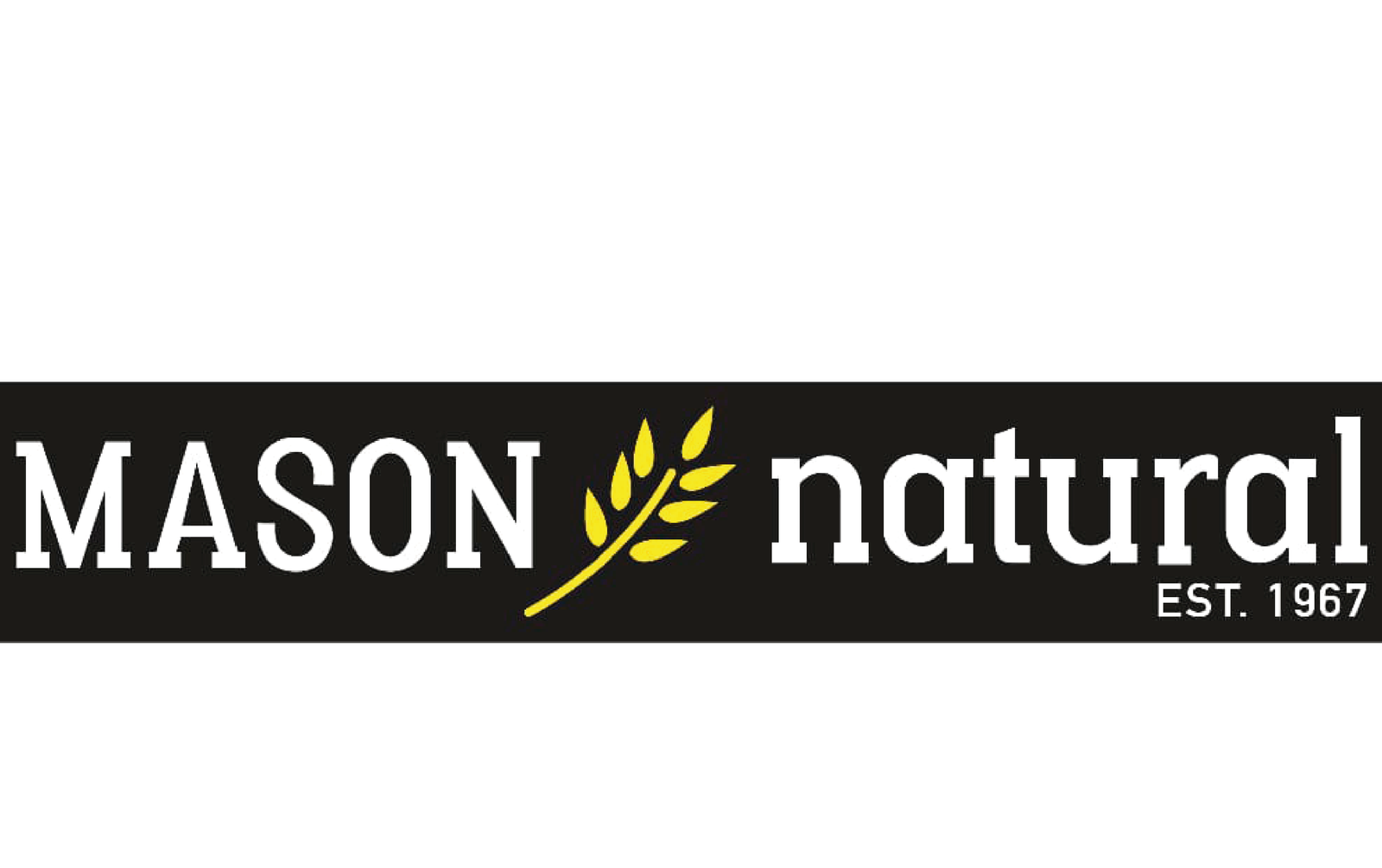 LOGO MASON WEB-02